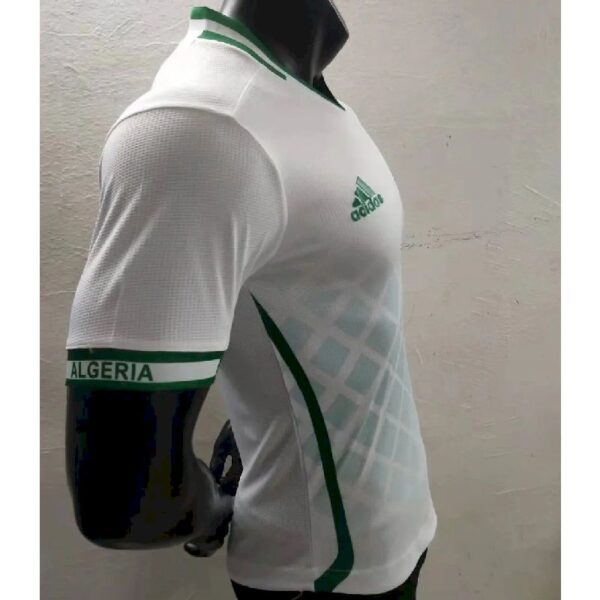 Algeria 2022 Home Player Version Jersey 39564