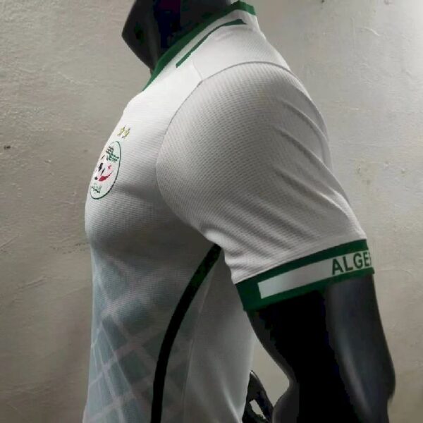 Algeria 2022 Home Player Version Jersey 39565