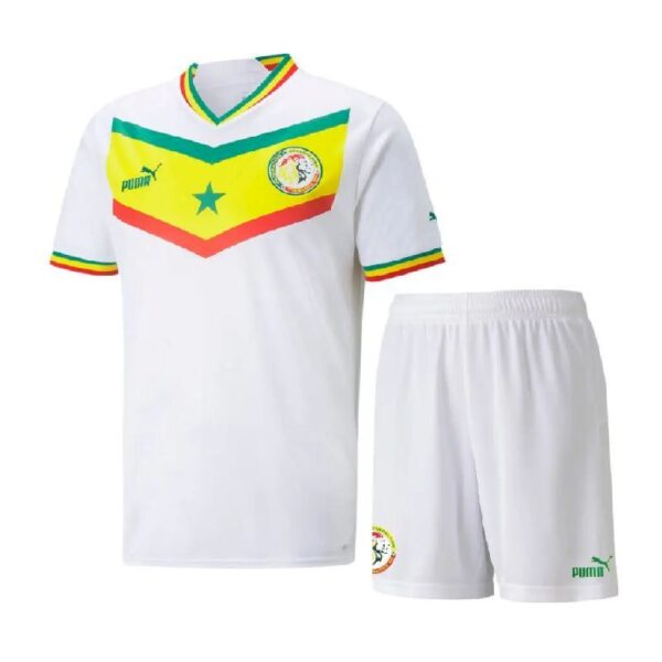 Senegal 2022 World Cup Home Kids Jersey And Shorts Kit 41513