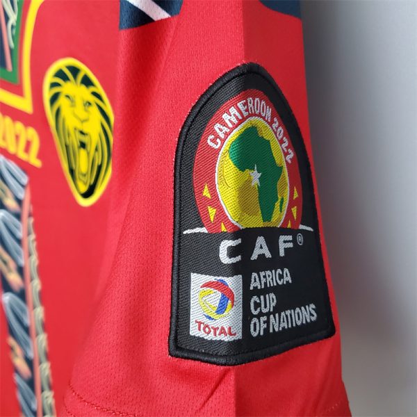 Cameroon Special Edition Jersey - Image 4