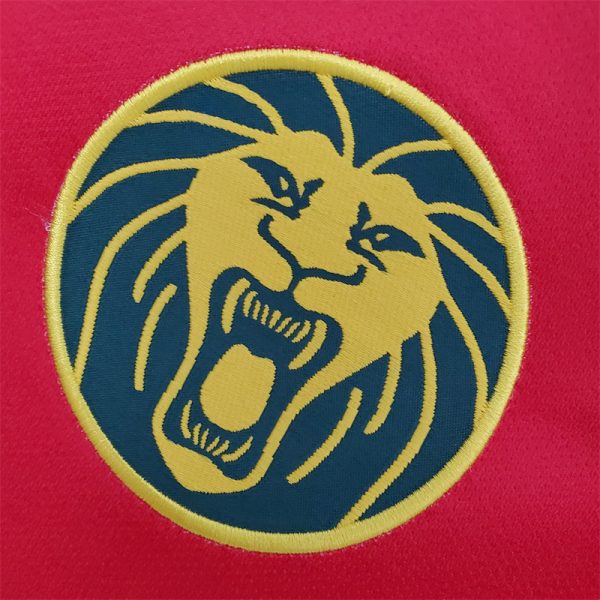 Cameroon Special Edition Jersey - Image 6
