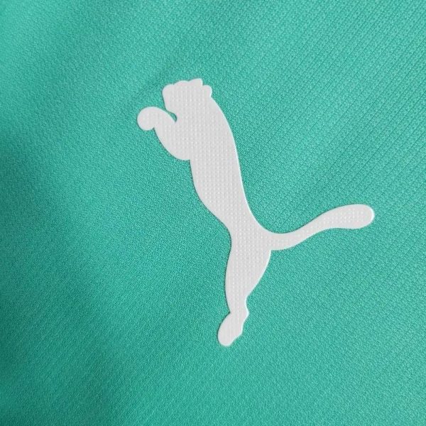 Palmeiras 2019/20 Third Retro Jersey - Image 4