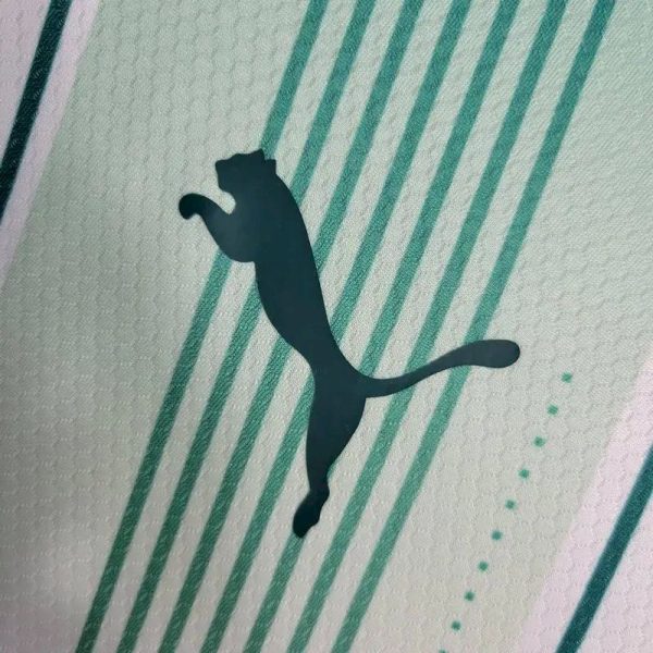 Palmeiras 2023/24 Away Long Sleeves Jersey - Image 4