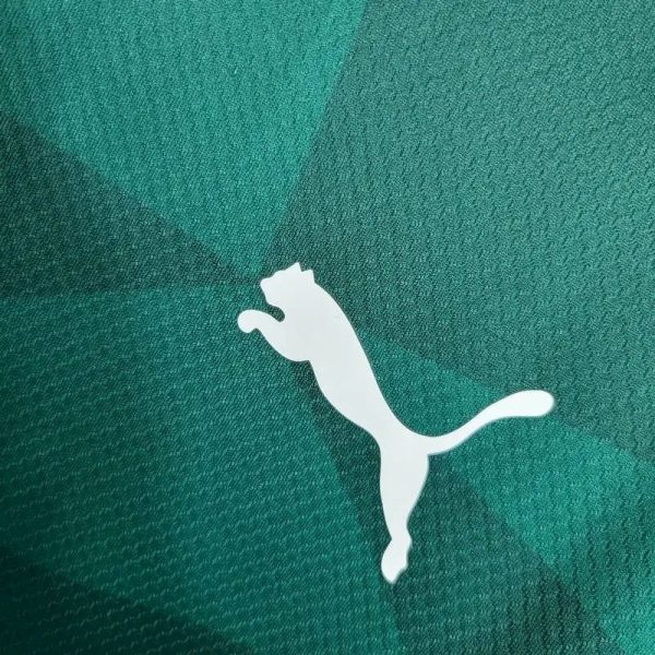 Palmeiras 2023/24 Home Long Sleeves Jersey - Image 7