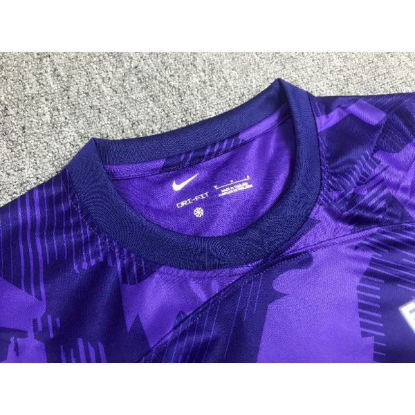 Sanfrecce Hiroshima 2023/24 Home Jersey - Image 3