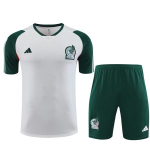 Mexico 2023/24 Training Adult Jersey+Short 14001-1
