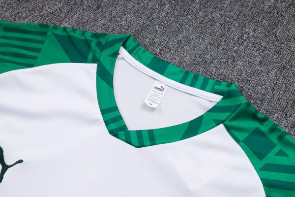 Palmeiras 2023/24 Training Adult Jersey+Pant 815 - Image 4