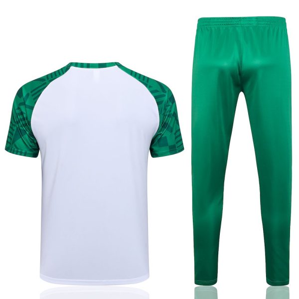 Palmeiras 2023/24 Training Adult Jersey+Pant 815 - Image 2