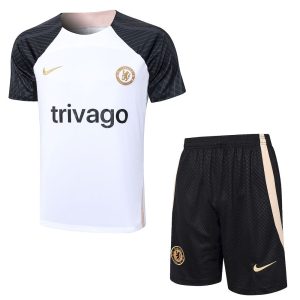Chelsea 2023/24 Training Adult Jersey+Short 815
