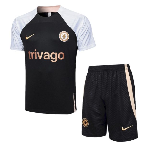 Chelsea 2023/24 Training Adult Jersey+Short 815