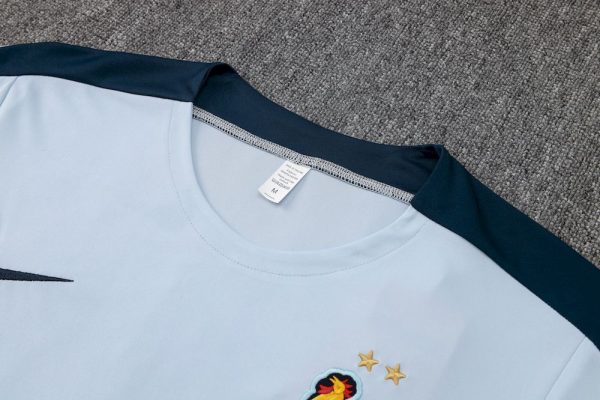 France 2024/25 Training Adult Jersey+Short 815 - Image 3