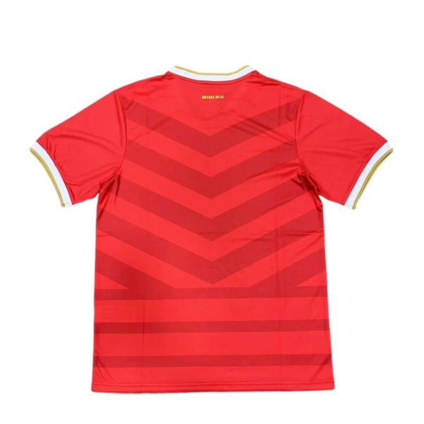 Panama 2024/25 Commemorative Edition Jersey - Image 3