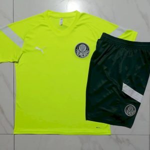 Palmeiras 2023/24 Training Adult Jersey+Short 815