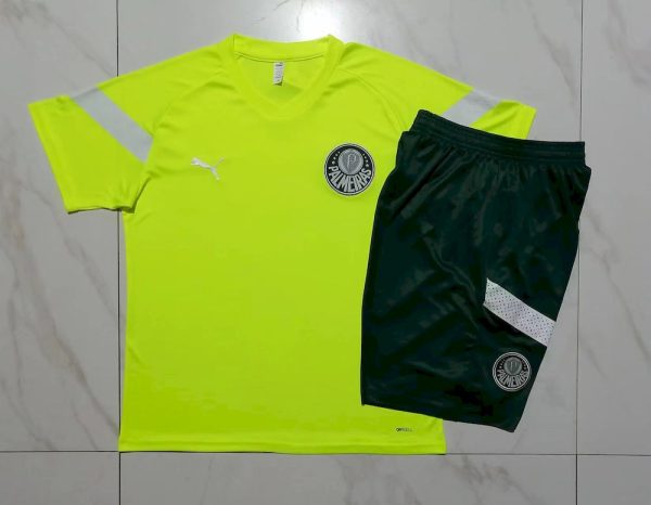 Palmeiras 2023/24 Training Adult Jersey+Short 815