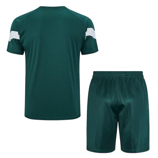 Palmeiras 2023/24 Training Adult Jersey+Short 815 - Image 2