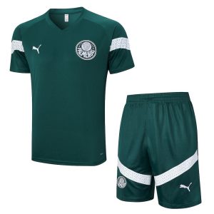 Palmeiras 2023/24 Training Adult Jersey+Short 815