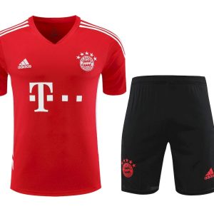 Bayern Munich 2023/24 Training Adult Jersey+Short 418