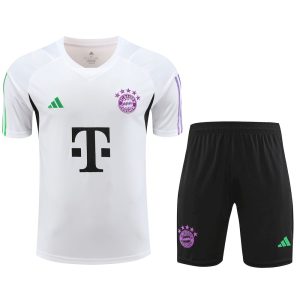Bayern Munich 2023/24 Training Adult Jersey+Short 418