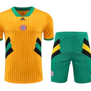 Bayern Munich 2023/24 Training Adult Jersey+Short 418
