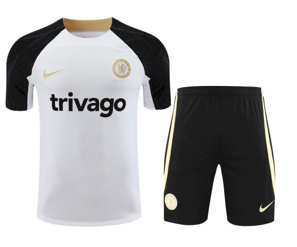 Chelsea 2023/24 Training Adult Jersey+Short 418