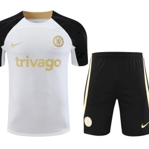 Chelsea 2023/24 Training Adult Jersey+Short 418