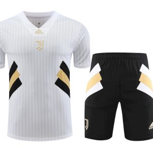 Inter Milan 2023/24 Training Adult Jersey+Short 418