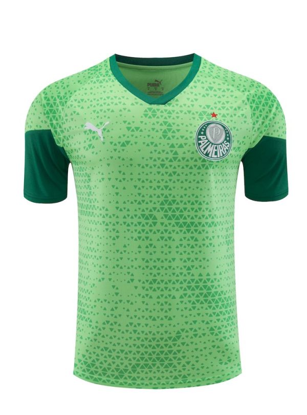 Palmeiras 2024/25 Training Adult Jersey+Short 418 - Image 3
