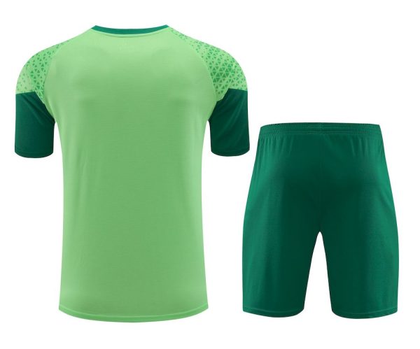 Palmeiras 2024/25 Training Adult Jersey+Short 418 - Image 2