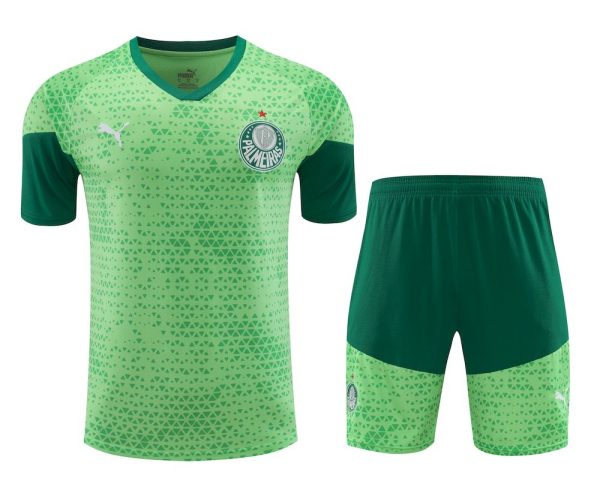 Palmeiras 2024/25 Training Adult Jersey+Short 418