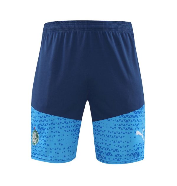 Palmeiras 2024/25 Training Adult Jersey+Short 418 - Image 4