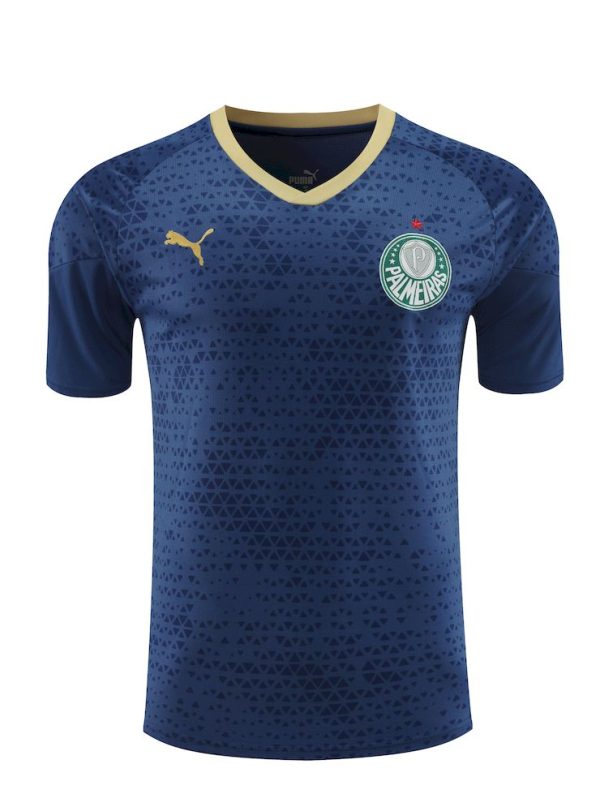 Palmeiras 2024/25 Training Adult Jersey+Short 418 - Image 3