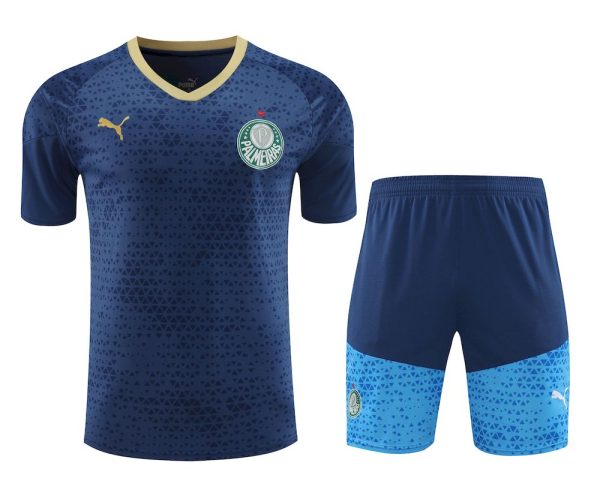 Palmeiras 2024/25 Training Adult Jersey+Short 418