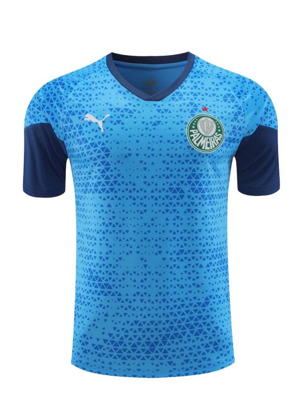 Palmeiras 2024/25 Training Adult Jersey+Short 418 - Image 3