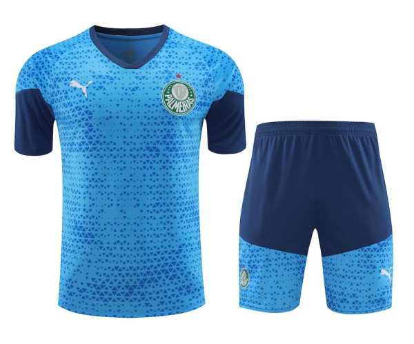 Palmeiras 2024/25 Training Adult Jersey+Short 418