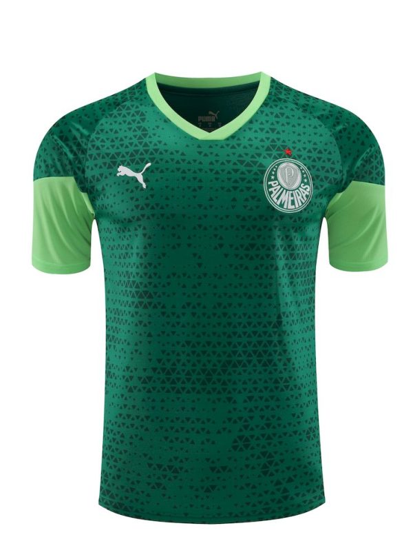 Palmeiras 2024/25 Training Adult Jersey+Short 418 - Image 4