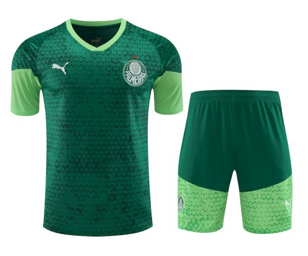 Palmeiras 2024/25 Training Adult Jersey+Short 418