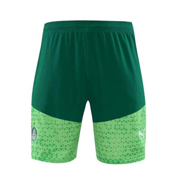 Palmeiras 2024/25 Training Adult Jersey+Short 418 - Image 3