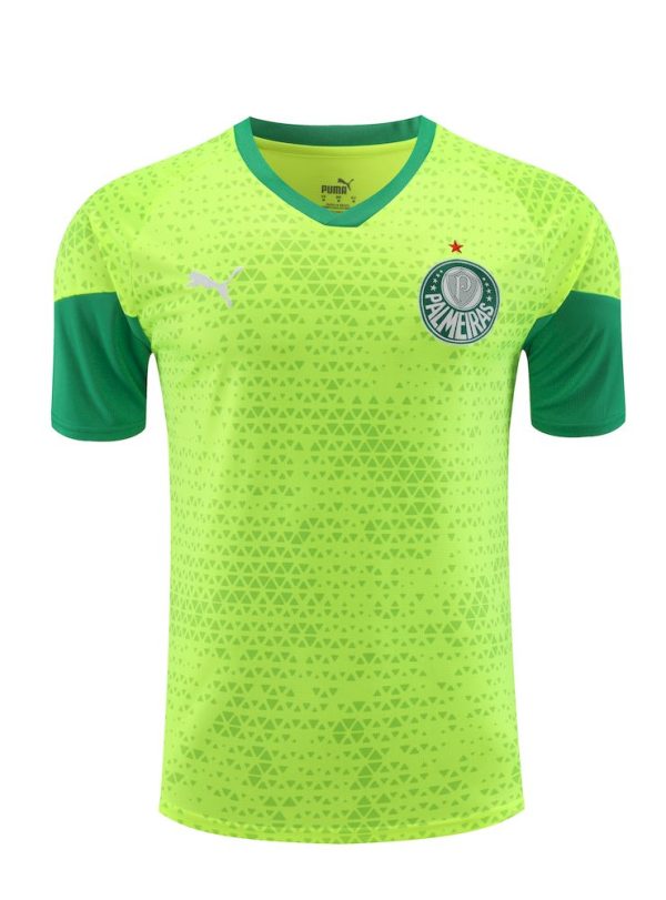 Palmeiras 2024/25 Training Adult Jersey+Short 418 - Image 4