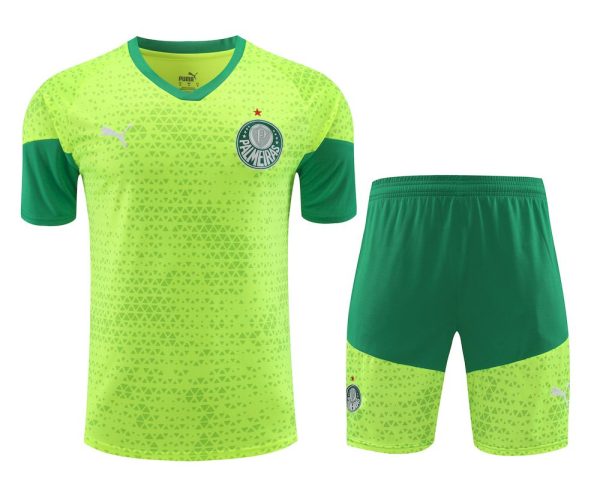 Palmeiras 2024/25 Training Adult Jersey+Short 418