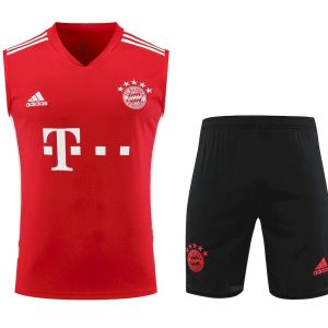 Bayern Munich 2023/24 Adult Tank Top+Short 418
