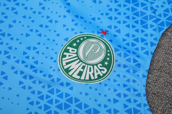 Palmeiras 2024/25 Adult Tank Top+Short 418 - Image 3