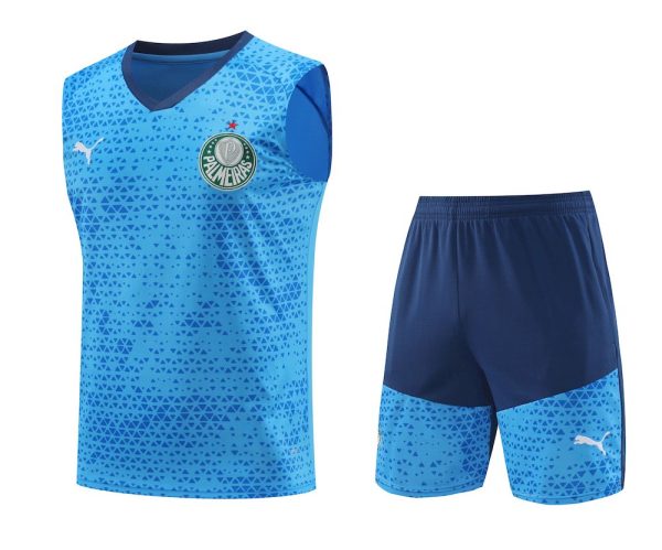 Palmeiras 2024/25 Adult Tank Top+Short 418