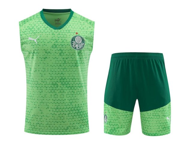 Palmeiras 2024/25 Adult Tank Top+Short 418