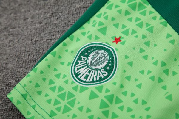 Palmeiras 2024/25 Adult Tank Top+Short 418 - Image 4