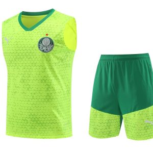 Palmeiras 2024/25 Adult Tank Top+Short 418