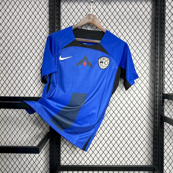 Slovenia 2024/25 Euro Away Jersey