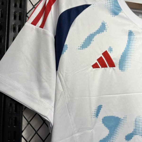 Costa Rica 2024/25 Away Jersey - Image 4
