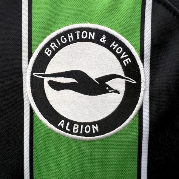Brighton & Hove Albion 2023/24 Away Jersey - Image 5
