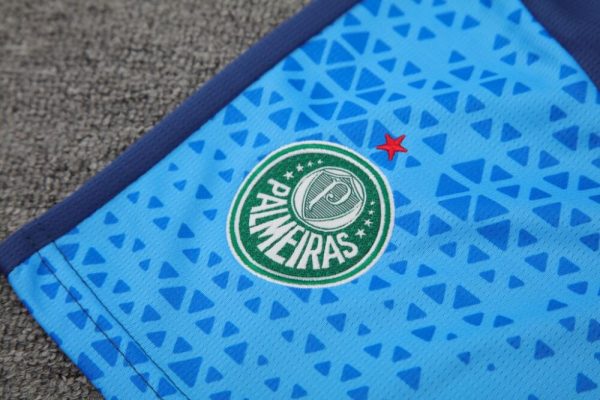 Palmeiras 2024/25 Adult Tank Top+Short 418 - Image 5