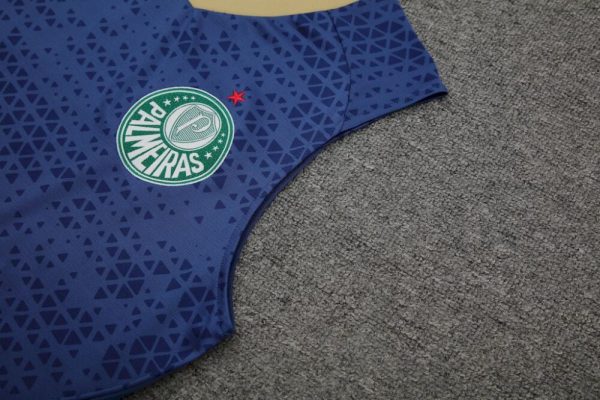 Palmeiras 2024/25 Adult Tank Top+Short 418 - Image 3